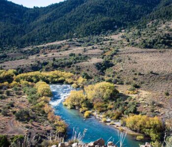 Cómo llegar desde Bariloche a Villa Traful