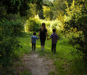 paseo por el bosque